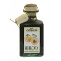 Condimento con succo cotto di Albicocca 250 ml - Monte Remellino